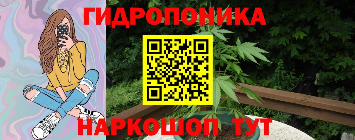 Бугуруслан  Шишки марихуана OG Kush  Канабис гибрид  Вход с VPN  Шишки марихуана VHQ  Бошки Шишки планчик 